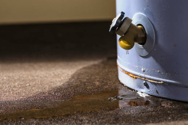 Best Fire Damage Restoration  in North Redington Beach, FL
