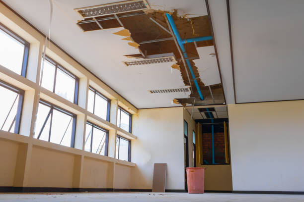Best Residential water damage restoration  in North Redington Beach, FL
