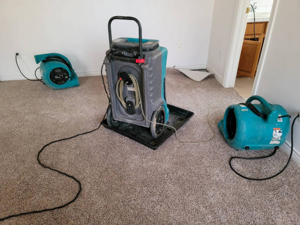  North Redington Beach, FL Water damage restoration Pros