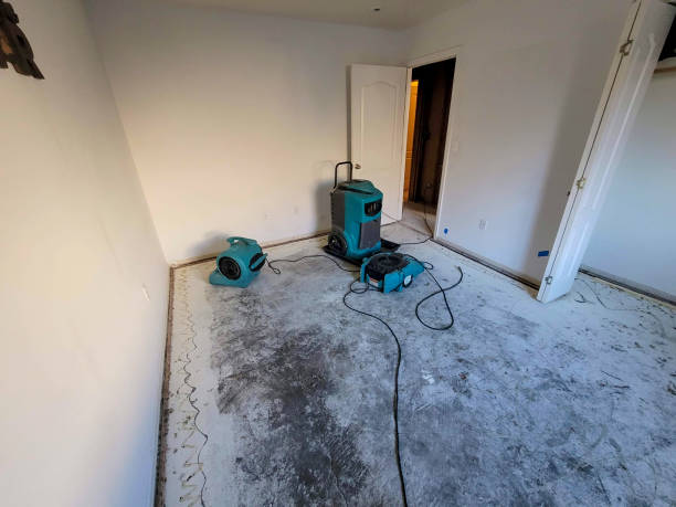 Best Emergency water extraction  in North Redington Beach, FL