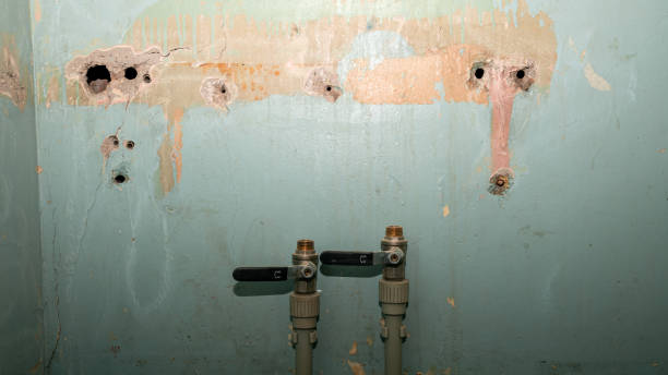 Best Professional water damage repair  in North Redington Beach, FL