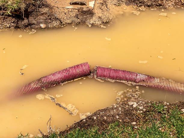 Best Flood restoration services  in North Redington Beach, FL